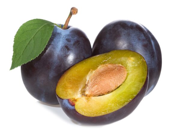 Prugne