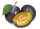 Prugne